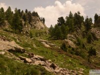 2025-06-14 Cime de L'Agnelliere 318
